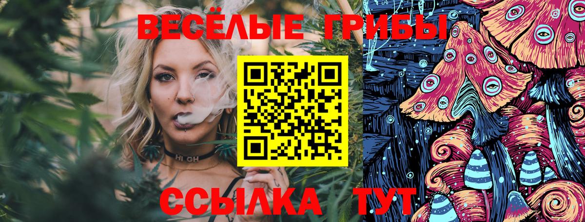 Комсомольск-на-Амуре  Галлюциногенные грибы прущие грибы  Вход с VPN  где найти   Псилоцибиновые грибы Cubensis 