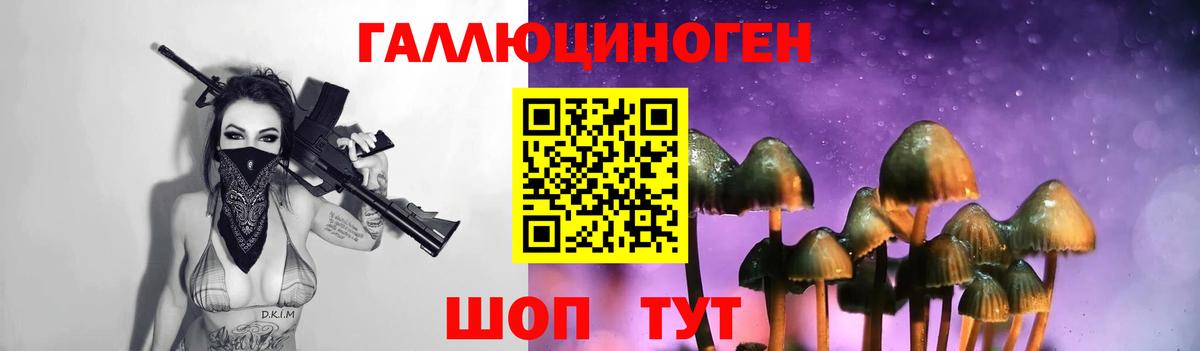 Псилоцибиновые грибы ЛСД Комсомольск-на-Амуре